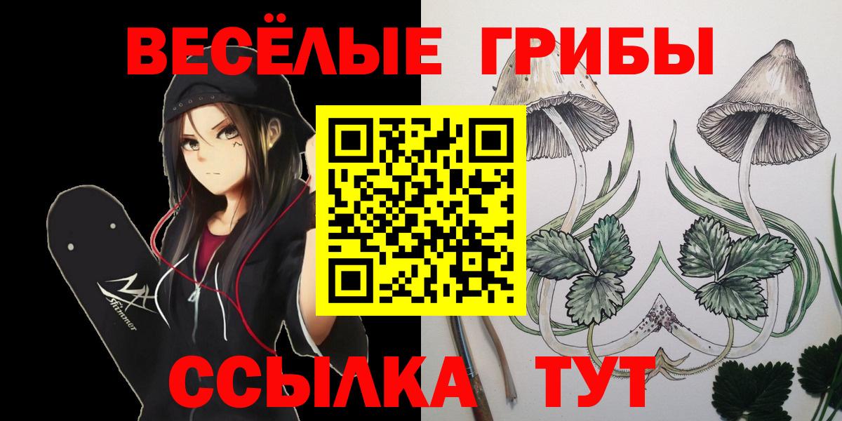 Псилоцибиновые грибы ЛСД Новоалтайск