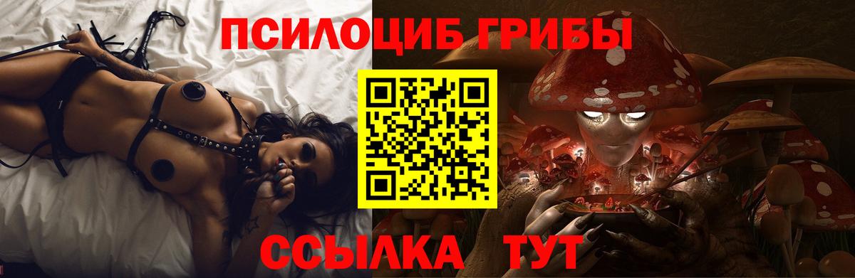 Галлюциногенные грибы Cubensis  купить   Новоалтайск  Вход с VPN 